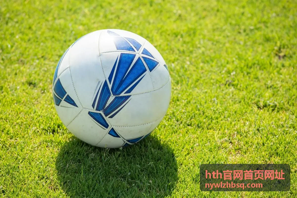hth官网首页网址日常使用中的浏览习惯说明配图